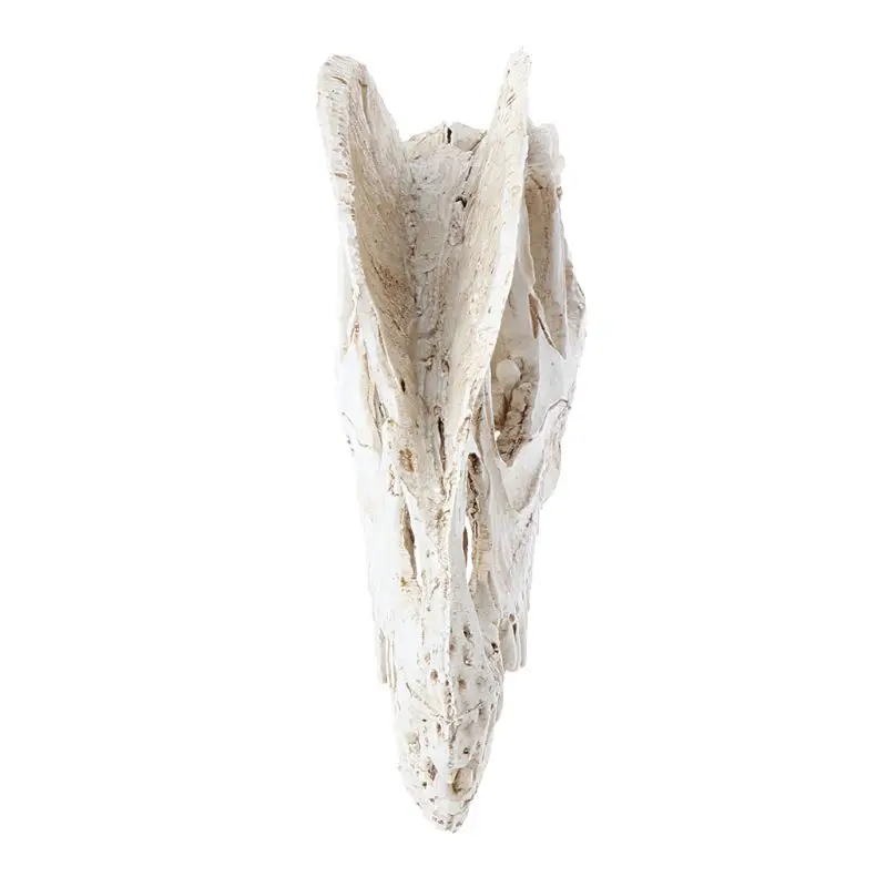 

New Dilophosaurus Dinosaur Skull Resin Crafts Fossil Skeleton Teaching Model Halloween Home Office Decoration qyh