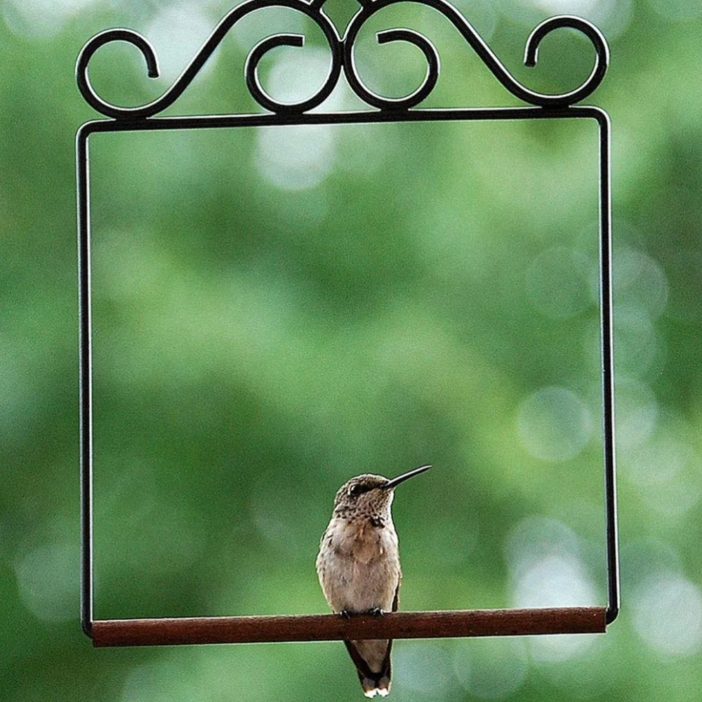 2 шт. подставка для клетки Колибри (черная) | Дом и сад