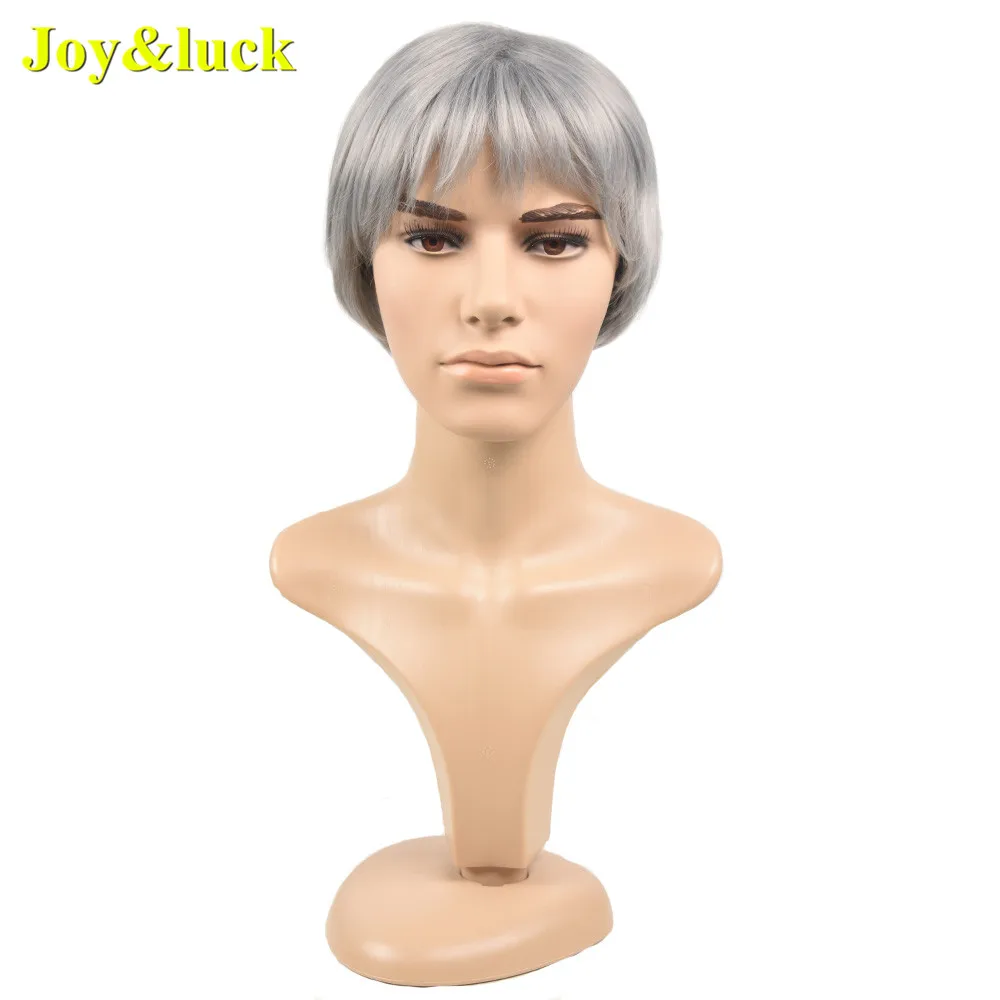 

Joy&luck Fashion Men's Grey Wig Short Synthetic Straight Hair Wigs for Man