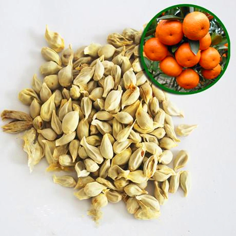 

20Pcs Colorful Orange Lemon Seeds Bonsai Aromatic Fruit Essence Nature tangerine Plants Lip Mask JV1I