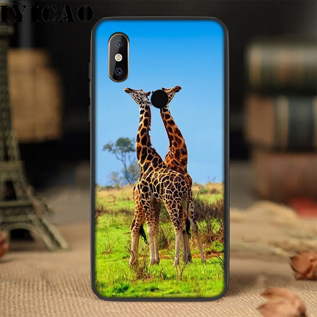 IYICAO носить очки Жираф мягкий чехол для Xiaomi mi 9 8 6 A2 Lite A3 9T Pro A1 F1 макс 3 2S CC9E 8SE