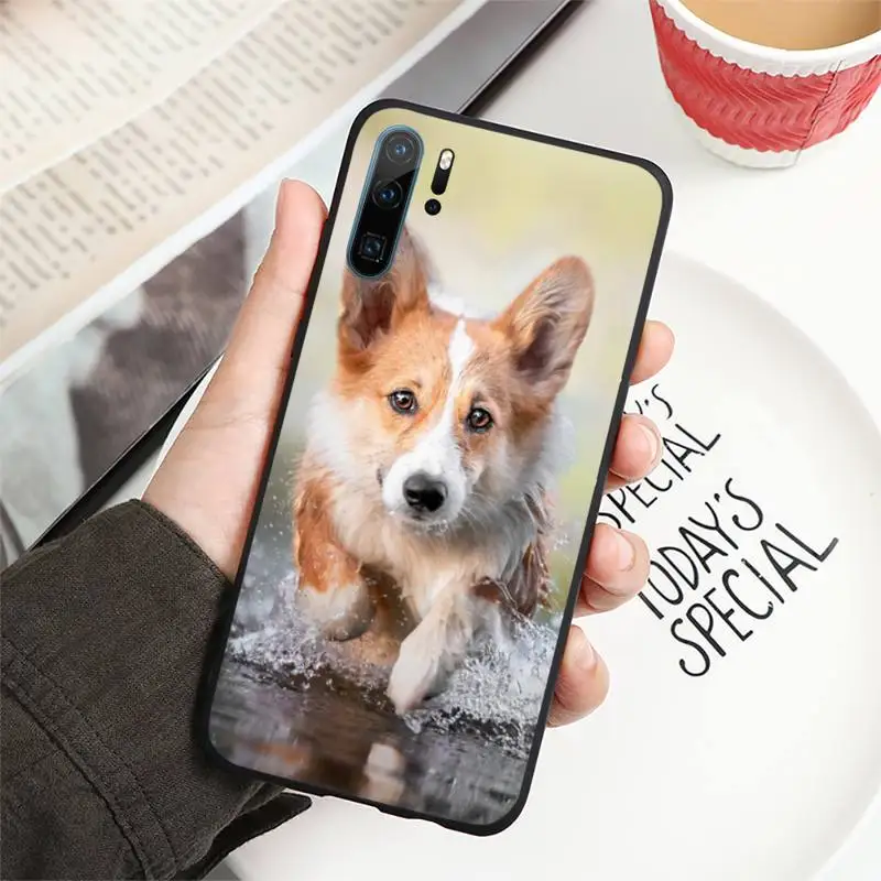 

Corgi cute and funny animals Phone Case For Huawei honor Mate P 10 20 30 40 i 9 8 pro x Lite smart 2019 nova 5t