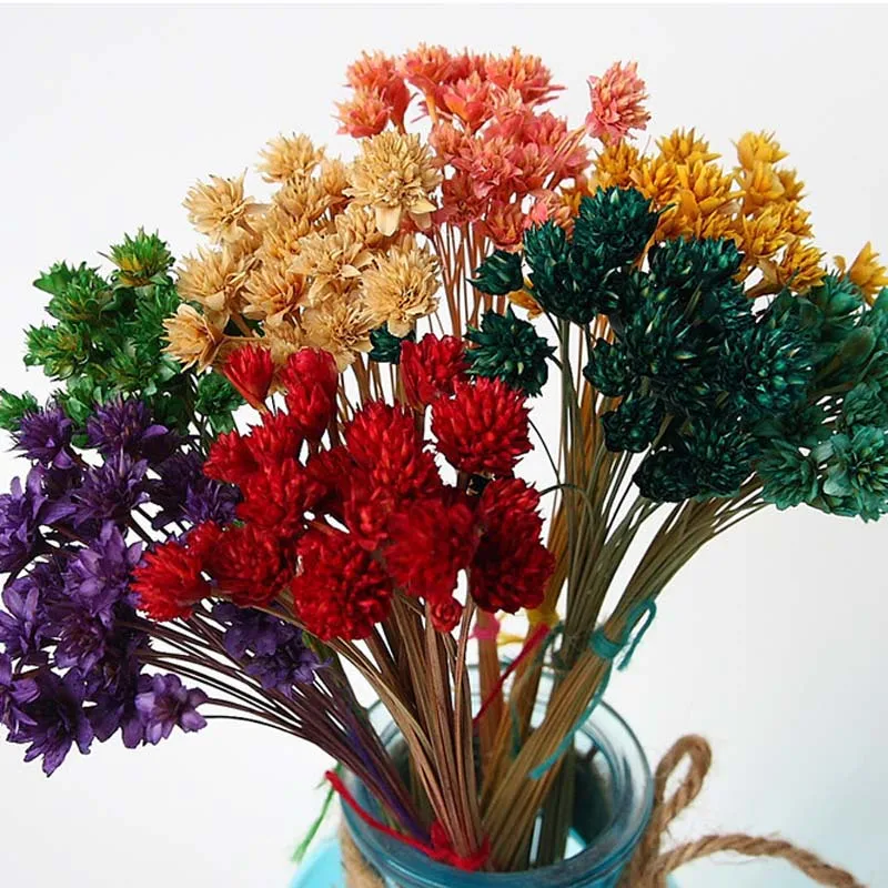 Увековеченный цветок материал цвет маленький Горный сухой домашняя композиция