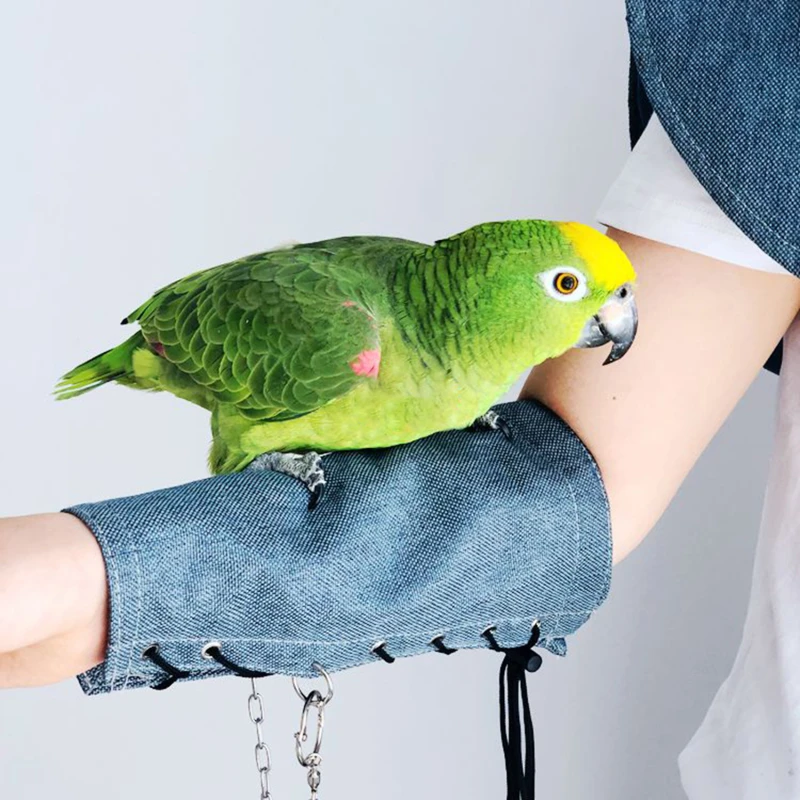 

Pet Parrot Shawl Arm Guard Multi-purpose Pet Shoulder Pad Arm Cover Anti-scratch Shoulder Guard Arm Protective Cover for Stage