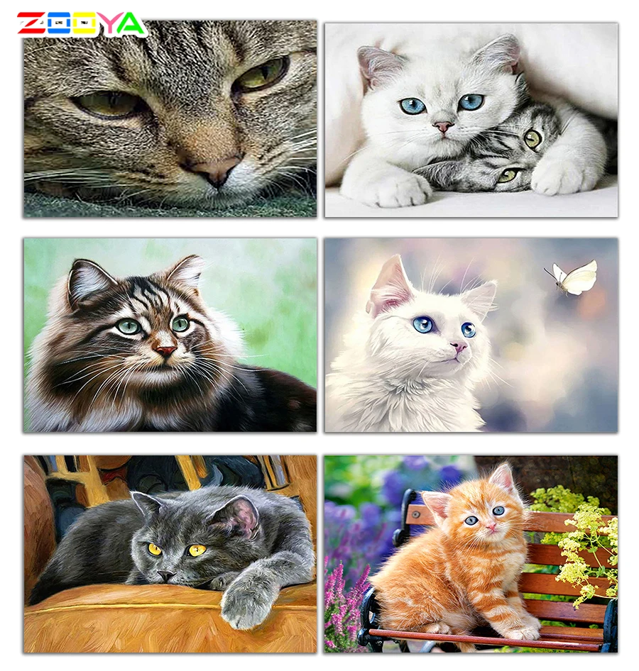 Алмазная вышивка ZOOYA 5D DIY Алмазная Картина милый кот милые животные Алмазная вышивка крестиком Стразы мозаика BJ1573