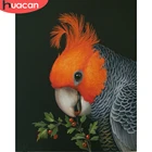 HUACAN вышивка животных рукоделие Наборы для полных комплектов крестиком попугай белый холст 14CT DIY домашний декор 40х50см