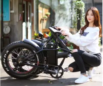 Kaufen 2020 Mehr Beliebte Dame E-bike 20 Zoll Faltbare, Klapp Elektrische Fahrrad, 500w 1000w Fett Reifen Elektrische Fahrrad