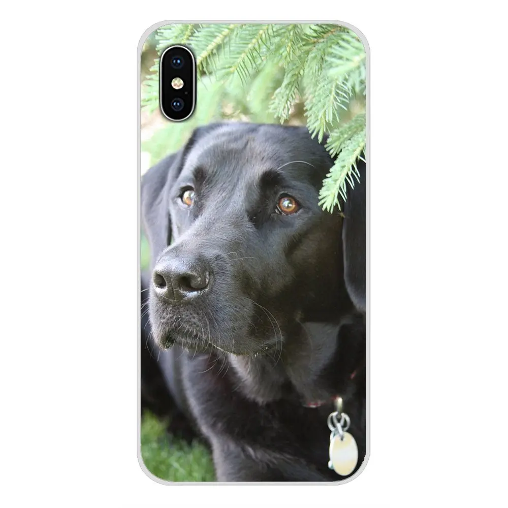 images 6 Прозрачные мягкие чехлы Чехлы забавные Лабрадор собака для huawei G7 G8 P7 P8 P9 P10 P20 P30 Lite Mini Pro P Smart Plus - Цвет: images 6