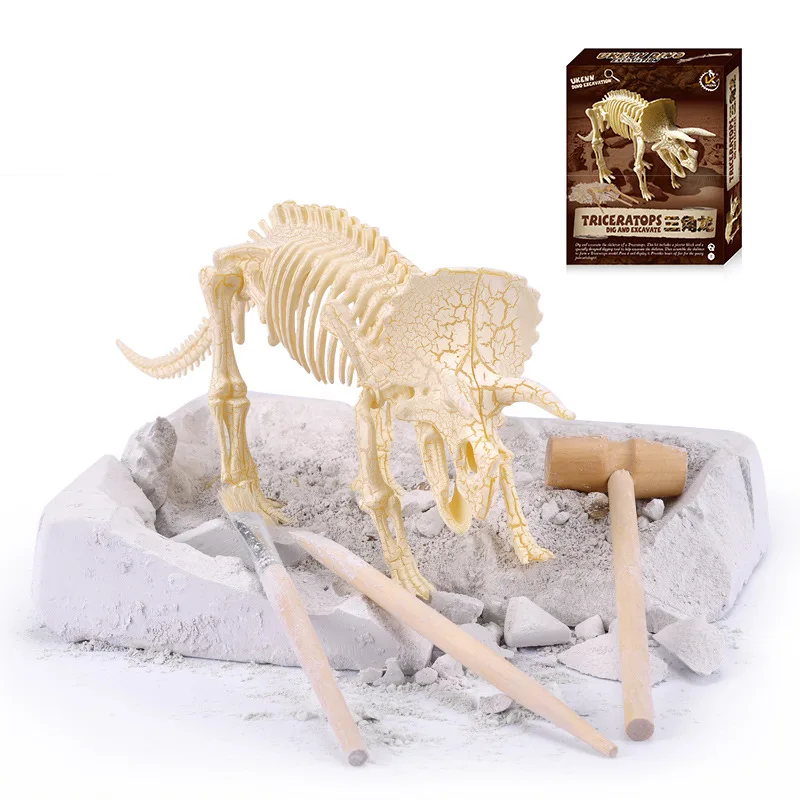 DIY моделирования археологических раскопок ископаемый скелет динозавра модель