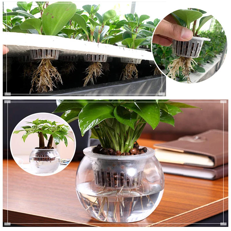 Сад Пластик объем чашки 10 штук в упаковке 2 дюймов посадка корзины набор сад