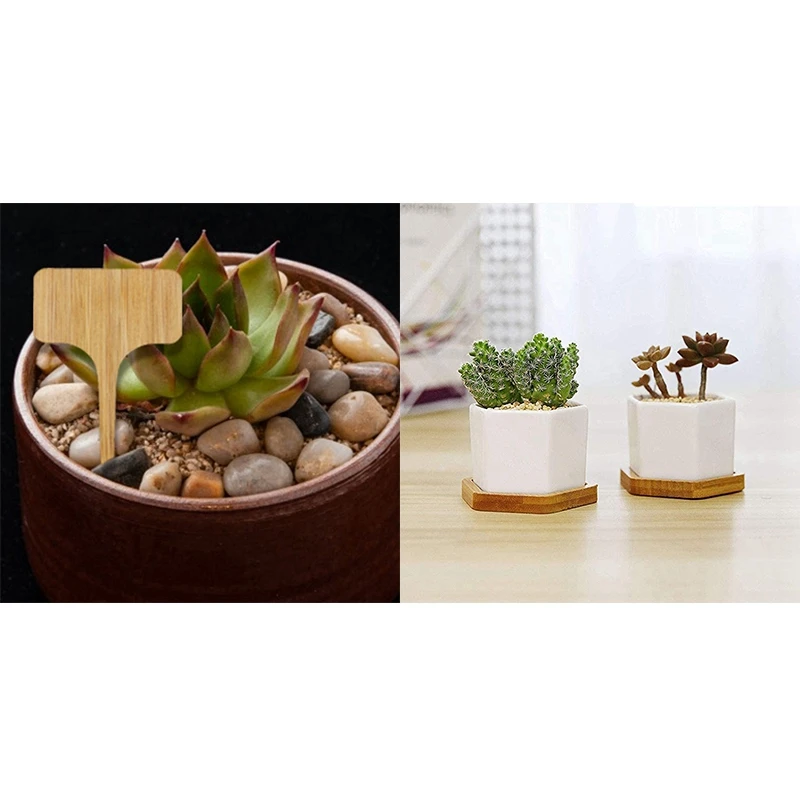 

100Pcs Garden Plant Labels Bamboo T-Type Tags Markers & 12Pcs 2.63 Inch Planter Pot Bamboo Saucer Hexagon Succulent Pot