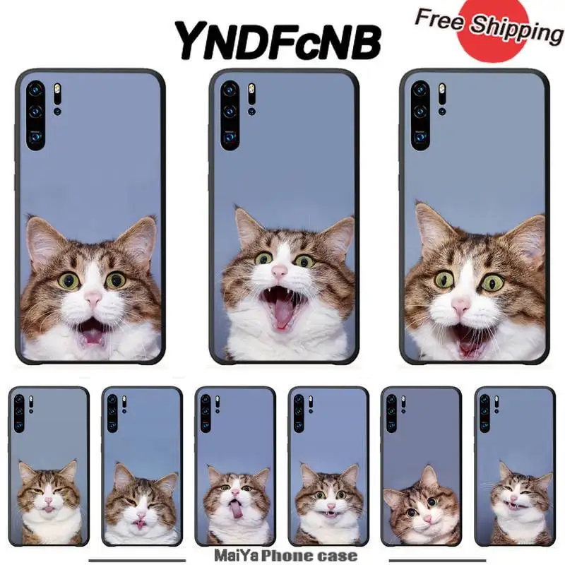Забавный выражение кошка Роскошный чехол для мобильного телефона Huawei P 20 30 40 Lite Pro