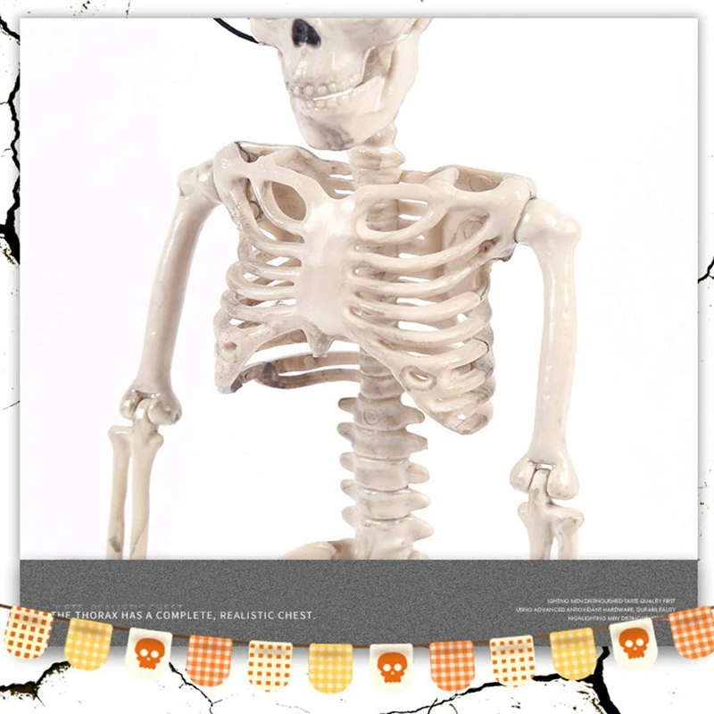 16 дюймовые модели или скелетные игрушки на Хэллоуин украшение крепкий скелет