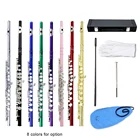 Западная концертная флейта из мельхиора покрытая серебром 16 отверстий C Ключ духовой инструмент с салфеткой для чистки перчатки