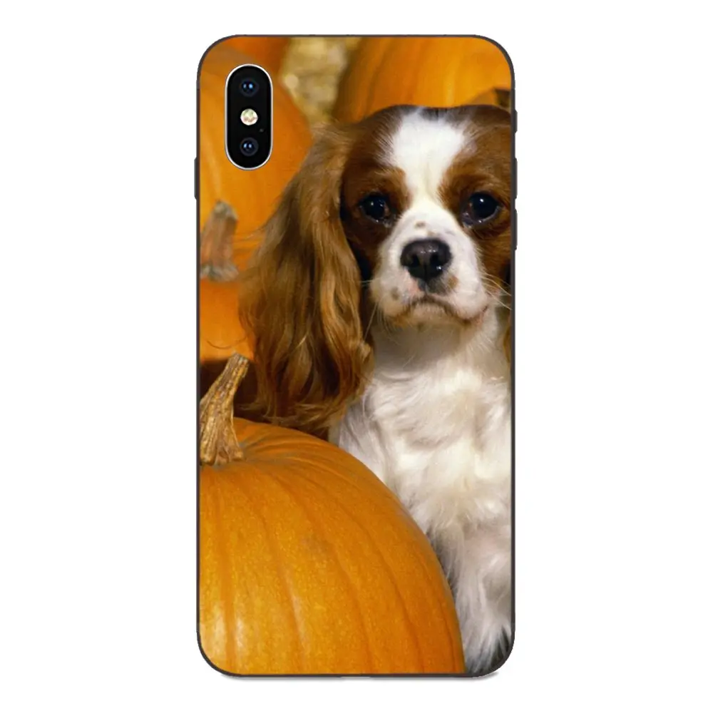 Кавалер король Шарль спаниель собака для Apple iPhone 4 4S 5 5S SE 6 6S 7 8 11 Plus X XS Max XR Pro мягкий