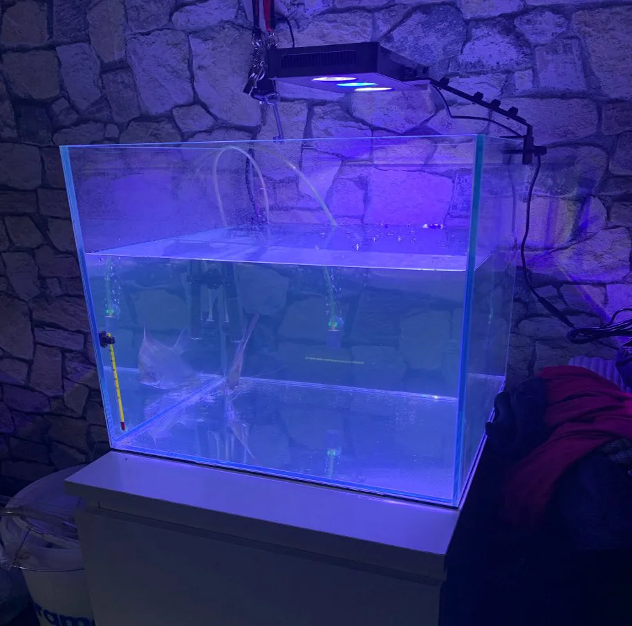 Светодиодный светильник Spectra Nano для аквариума 30 Вт, светильник для морской воды, с сенсорным управлением, для аквариума коралловых рифов, вилка стандарта США и ЕС