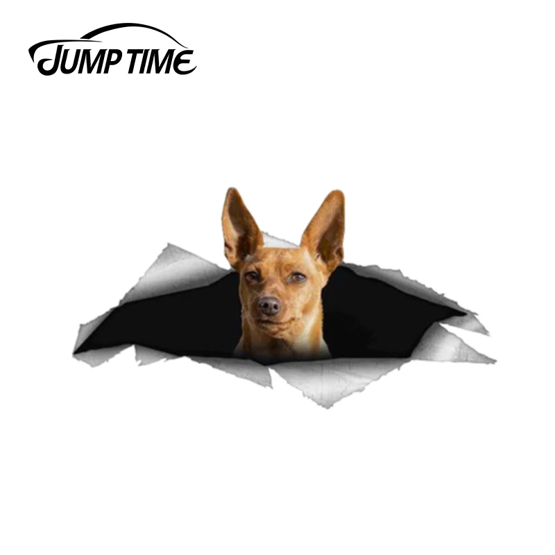 

Jump Time 13cm x 6.7cm Dog Pet Decal Sticker Bumper Animal Car Stickers 3D Pet Graphic Vinyl Decal Car Window Laptop