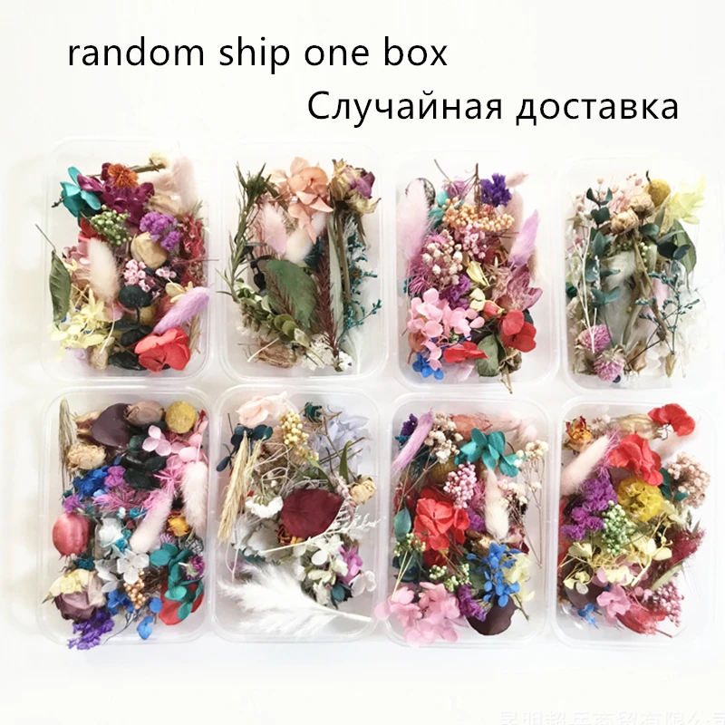 1 коробка натуральные цветы для наклеивания на ногти высушенные украшения сухой