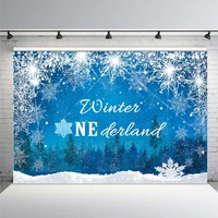 winter onederland 1st birthday backdrop winter onederland backdrops ice crystal snowflake onederland backdrops for photography