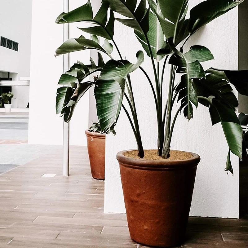 10 шт. защитных накладок из кокосового пальмового волокна 11 8 дюйма для дисковых