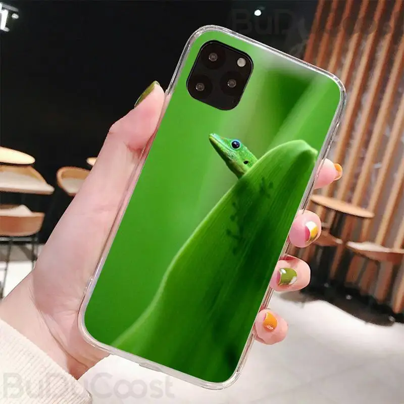 Милая Черная Силиконовая Защитная Обложка для телефона Iphone 11 Pro Max X XR XS 7 8 6 6S Plus 5 5S SE 2020.