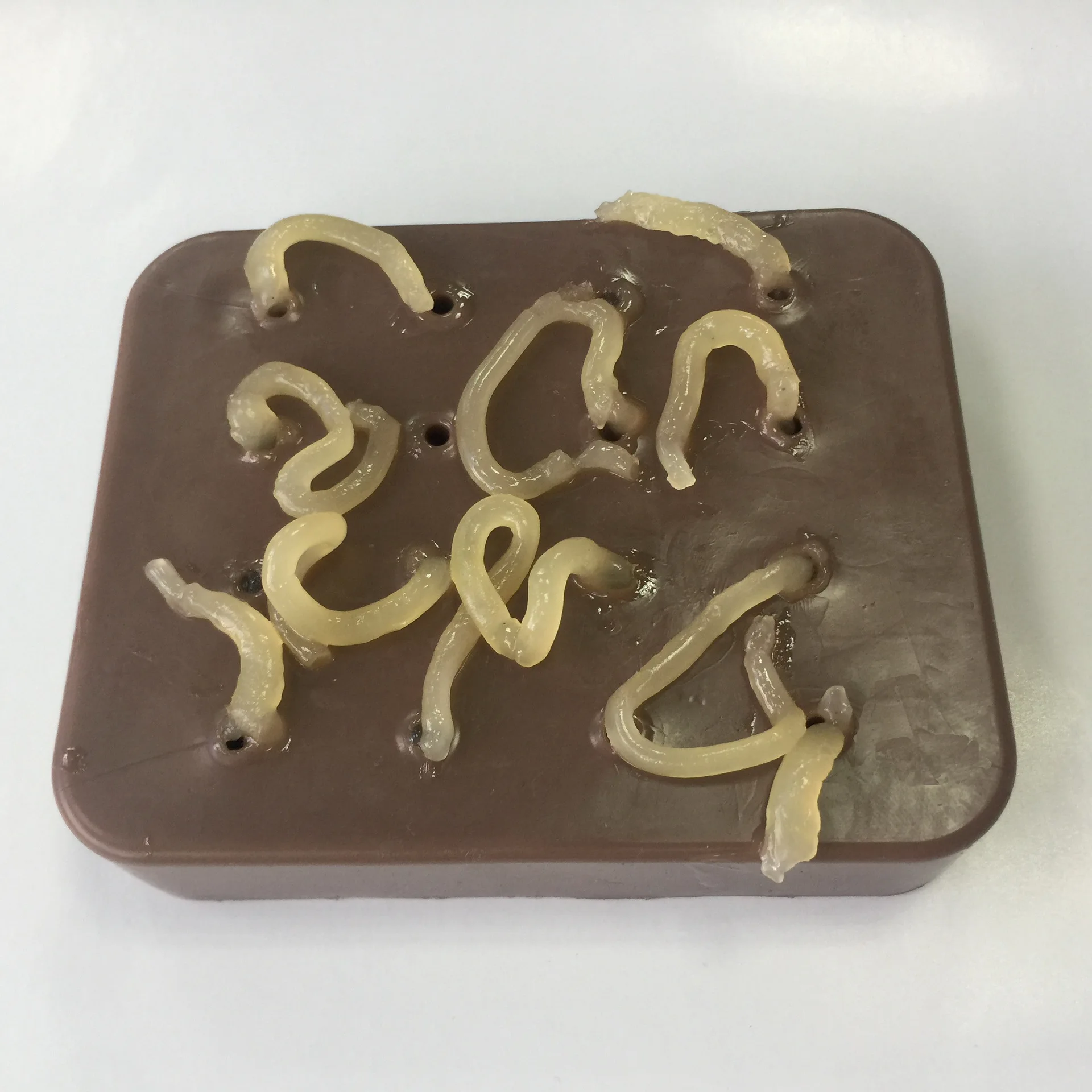 

Acne squeeze toys, innovative and exotic toys