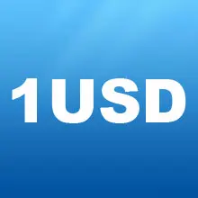 1USD Дополнительные расходы по Вашему заказу или стоимость доставки| |
