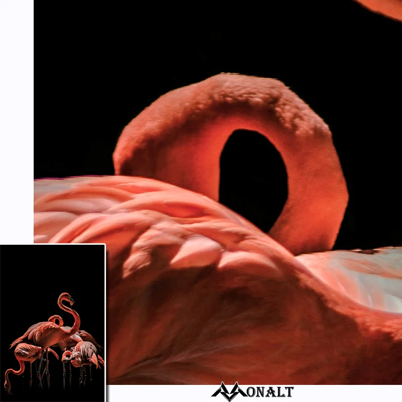 Холст Decorativas wall art Фламинго постеры с животными черный Розовый печати изображения