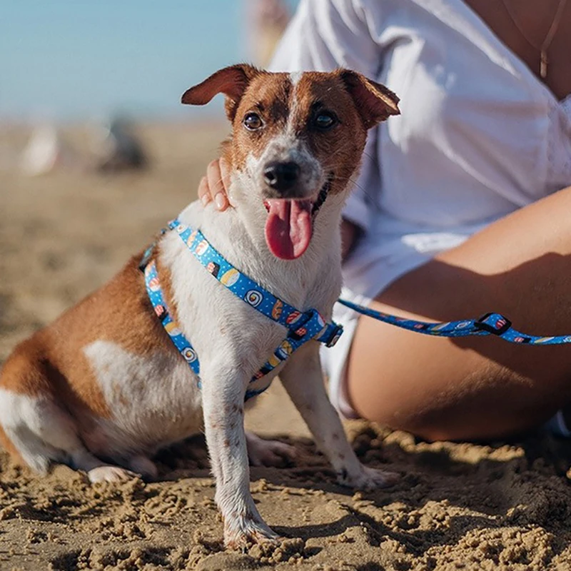 Новинка 2020 подвеска для собак сигарета суши с принтом легкая работа четыре