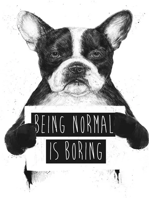 Забавные черный белый цвет Животные плакат Nordic живопись на холсте мультфильмы Wall