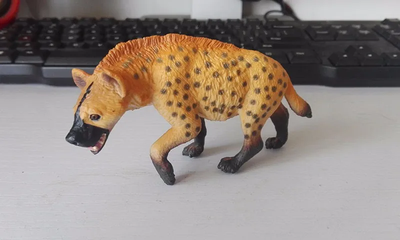 hyena Оригинальная натуральная дикая джунгли, ферма, животное, птица, серия, леопард, кошка, пантера, ягуар, Коллекционная модель, детская игрушка, подарок для детей - Цвет: hyena