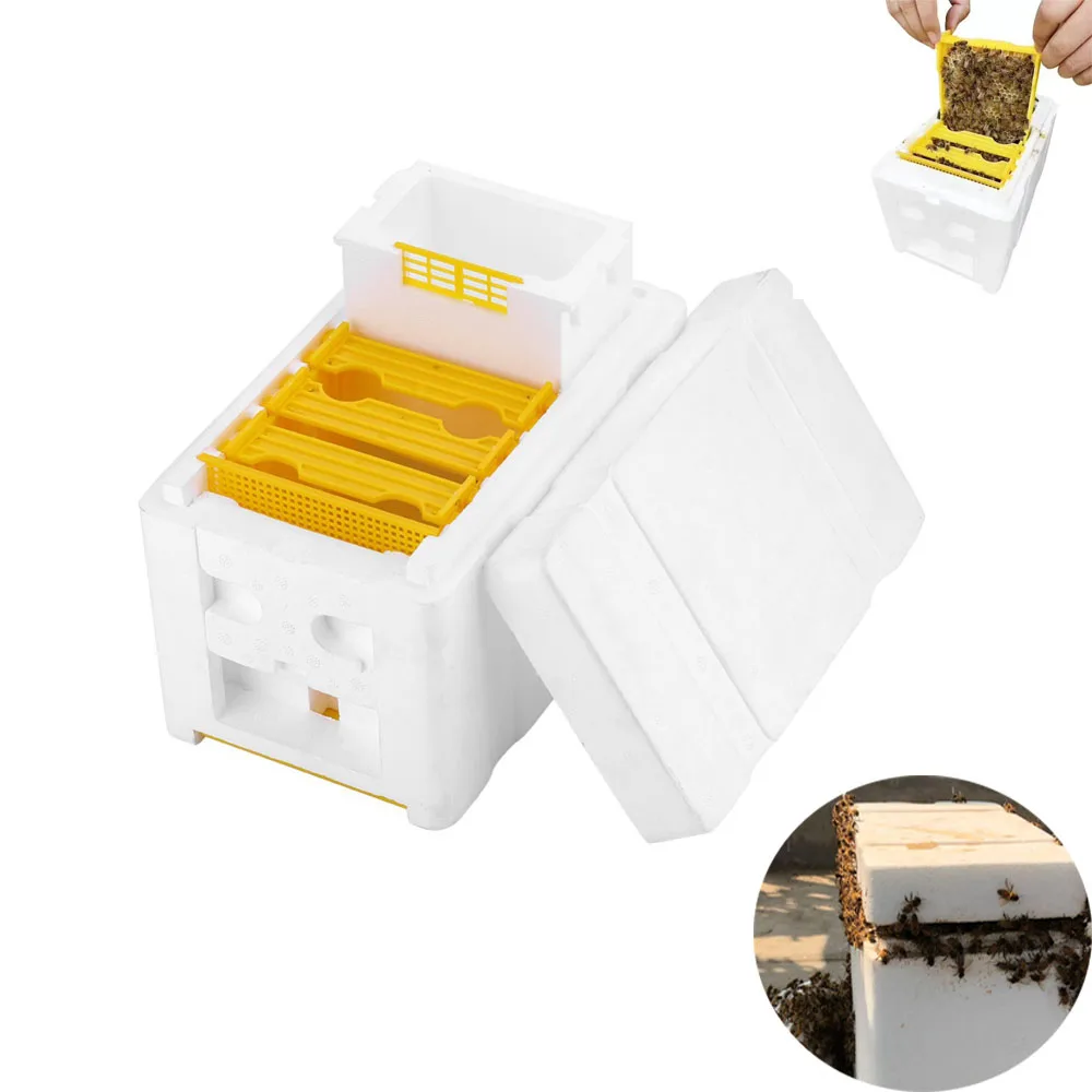 Пчелиный улей коробка для опыления королевская пенокаркас ящик спаривания пчел