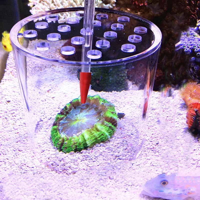 Кормушка кораллового цвета инъекционная трубка длинного акрилового кормушки