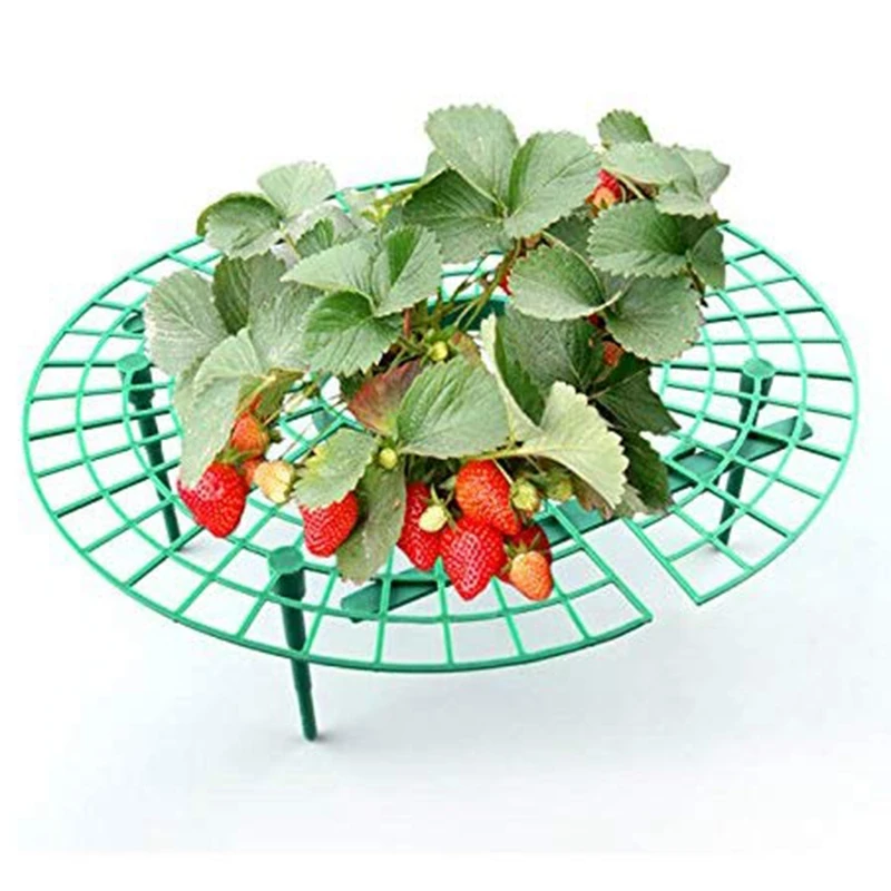 

2021 6Pcs Plant Plastic Tool Strawberry Growing Circle Support Rack Farming Frame Gardening Vine