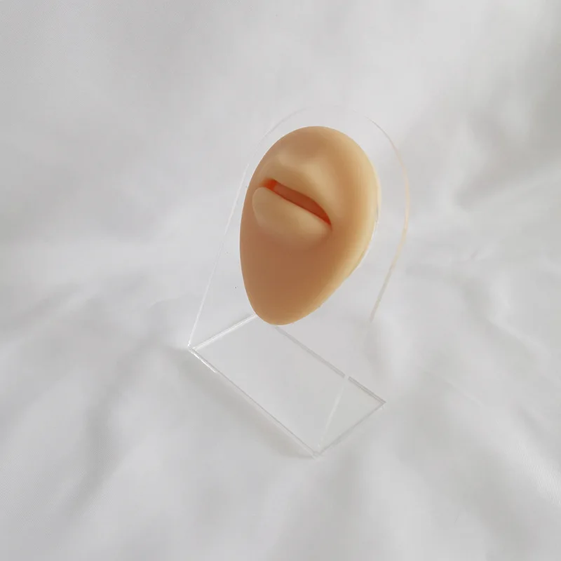 

Silicagel simulation human mouth model perforation puncture practice props lip nails mouth nails three-dimensional display tool
