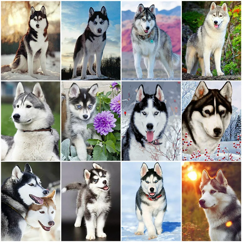 

Раскраска по номерам AZQSD для собак, животных, ручная раскраска маслом, Раскраска по номерам «сделай сам» на холсте для взрослых, декор для го...