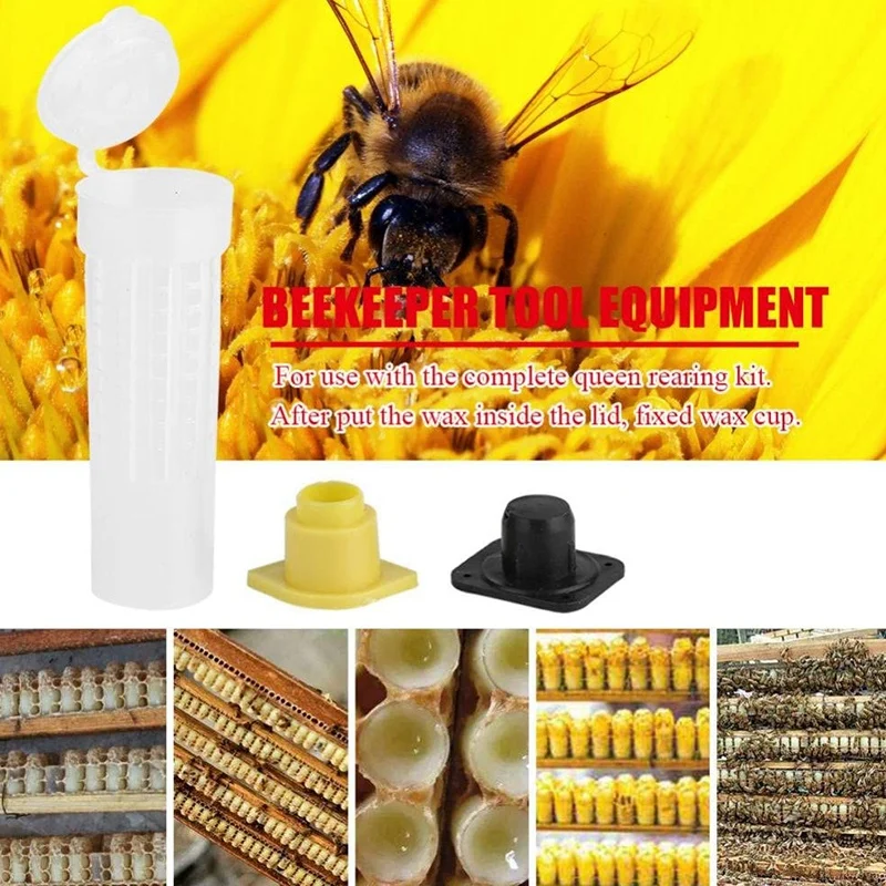 

Beekeeping Rearing Cup Kit 100PCS, Bee Roller Cages Beekeeping Supplies Bee Queen Cages Roller Beekeeper Tool Equipment