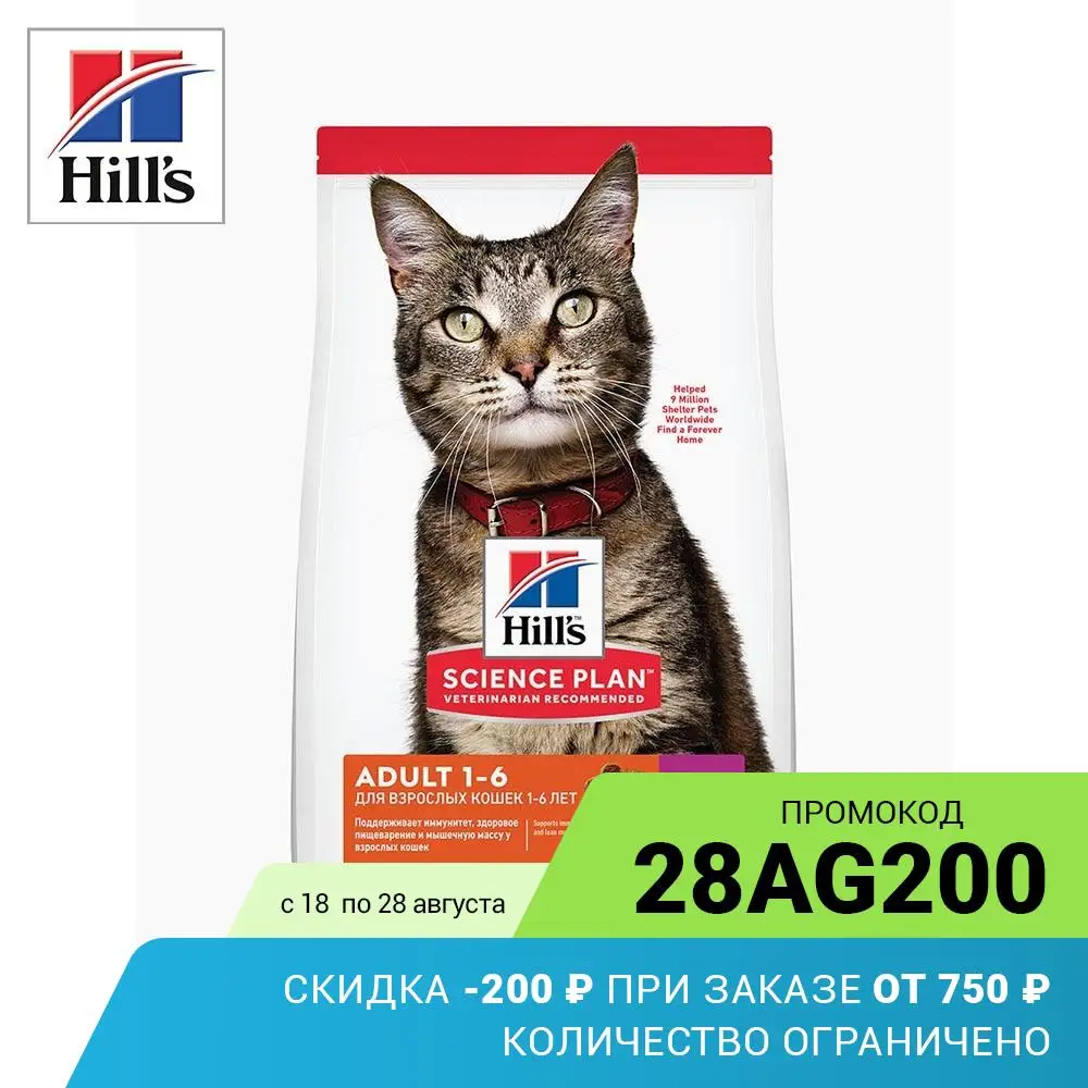 Купить Корм Для Кошек На Алиэкспресс