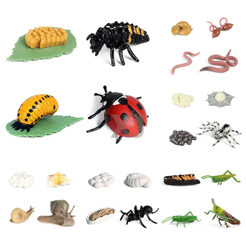 Имитация животных цикл роста насекомое жизненный лоток для пола фигурка из ПВХ