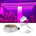 Фитолампа полного спектра 12 В для выращивания растсветильник, световая полоса 5 М 5050 SMD, цветовая Гидропоника с адаптером питания и диммером