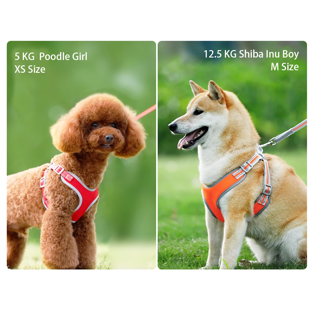 Воздухопроницаемая летняя шлейка для собак с поводком шлейки маленьких и