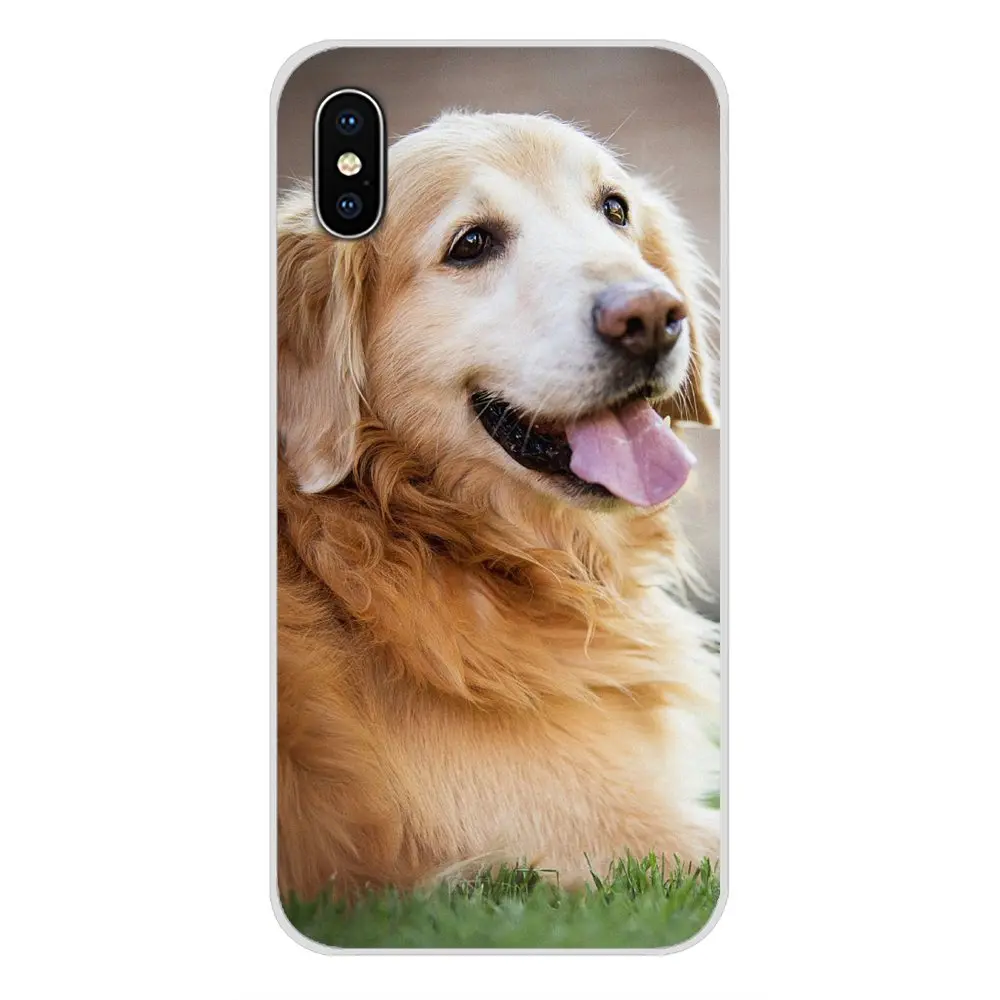 Аксессуары оболочка Чехлы животные милая собака золотой ретривер для Samsung A10 A30 A40