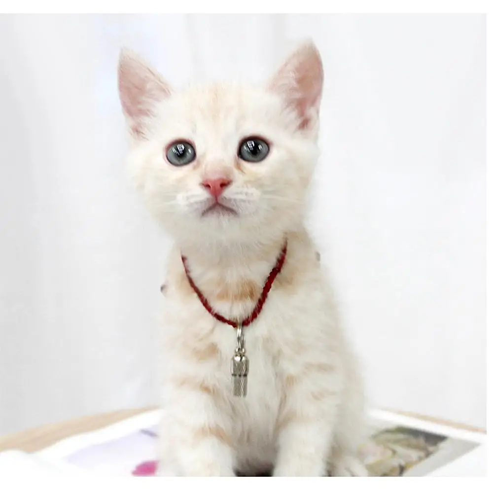 Товары для домашних животных серебристые алюминиевый сплав идентификационные