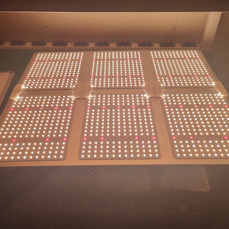 

Полный спектр 110 Вт/220 Вт/450 Вт/650 Вт LED Grow Light высокая мощность Samsung LM301B Квантовая плата 3000K/5000K Meanwell drive Grow Lamps