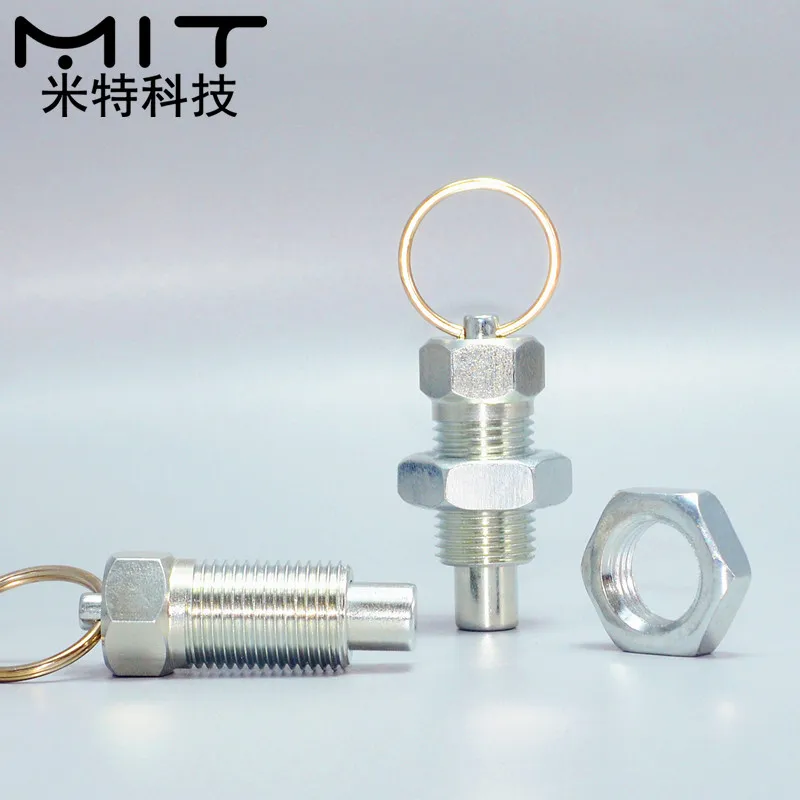 

Рельсовый Плунжер с пластиковой ручкой M6 M8 M10 M12 M16