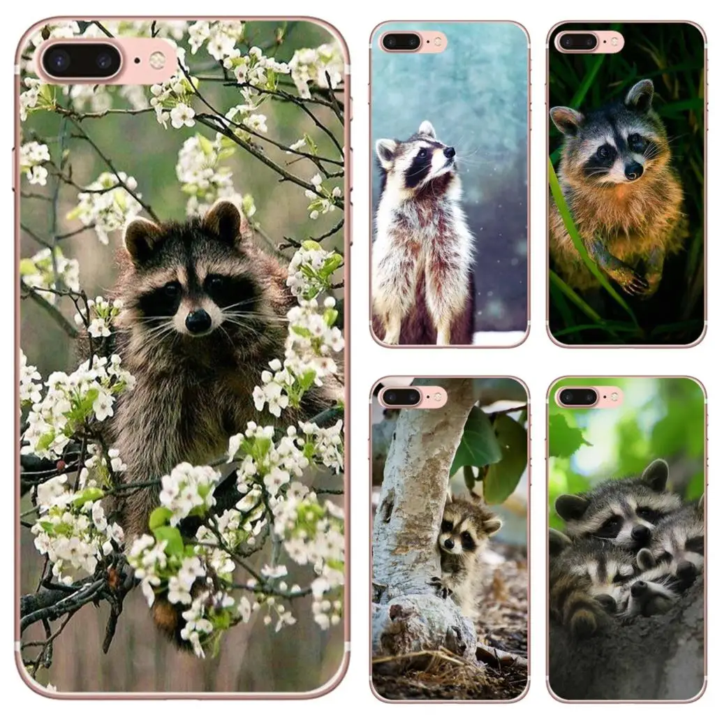 Силиконовый чехол для Huawei Honor 8A 7A 7C 8X 9 9X 10 10i 20 Lite Pro Y5 Y6 Y7 Y9 2018 2019 Kawaii Baby Raccoons Racoons Print -