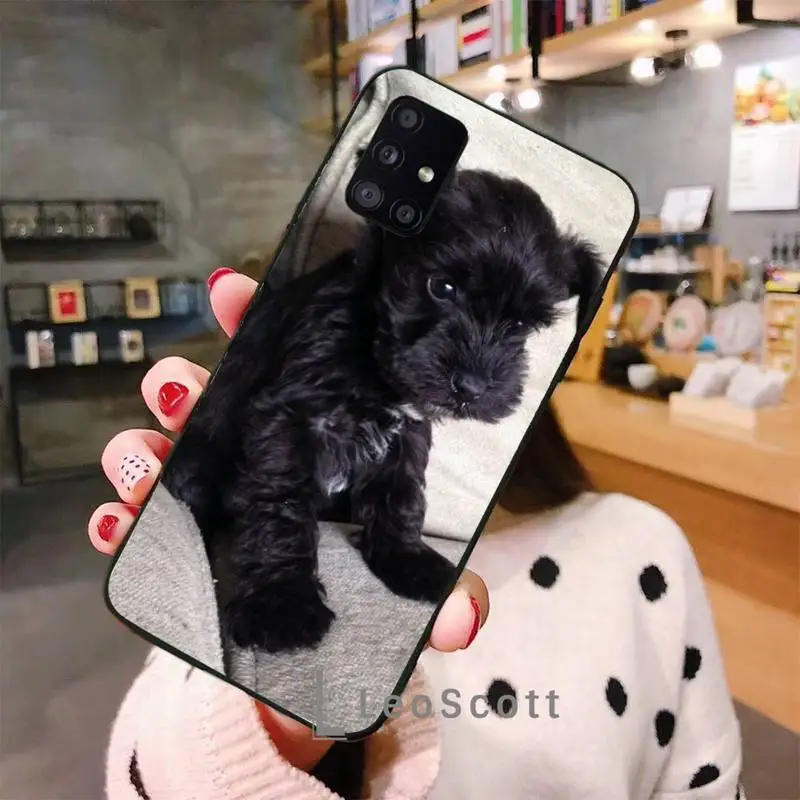 

Lovely Dogs Schnauzer Phone Case For Samsung A40 A31 A50 A51 A71 A20E A20S S8 S9 S10 S20 Plus note 20 ultra