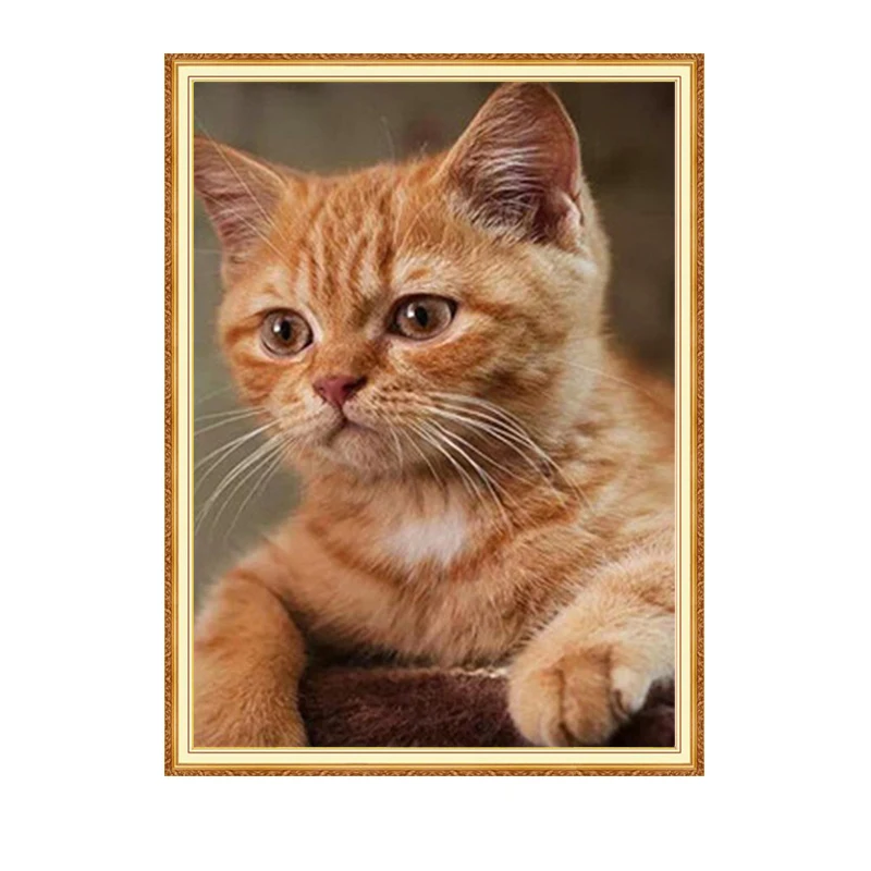 Вышивка с котом MEIAN 2020 алмазная вышивка животными мозаика круглые/квадратные