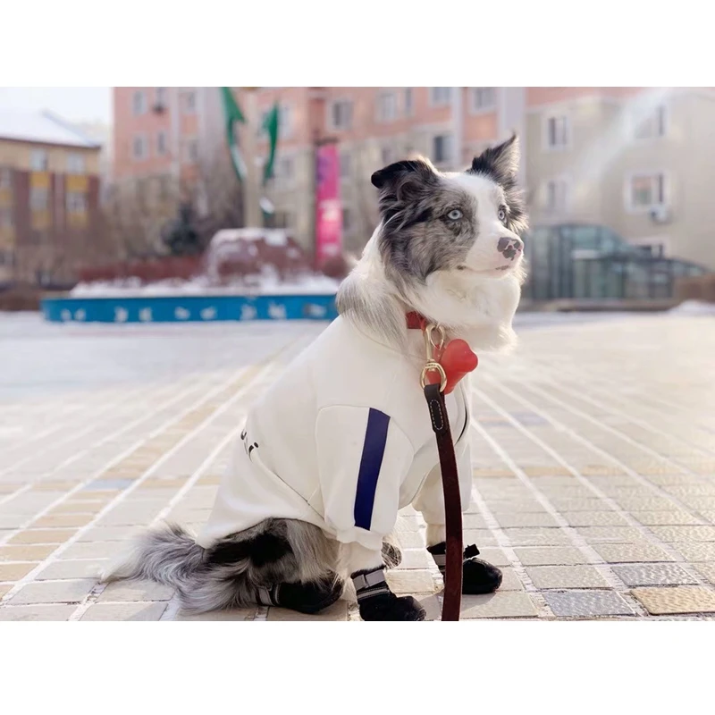 Модная спортивная куртка с капюшоном для собак одежда домашних животных кошек