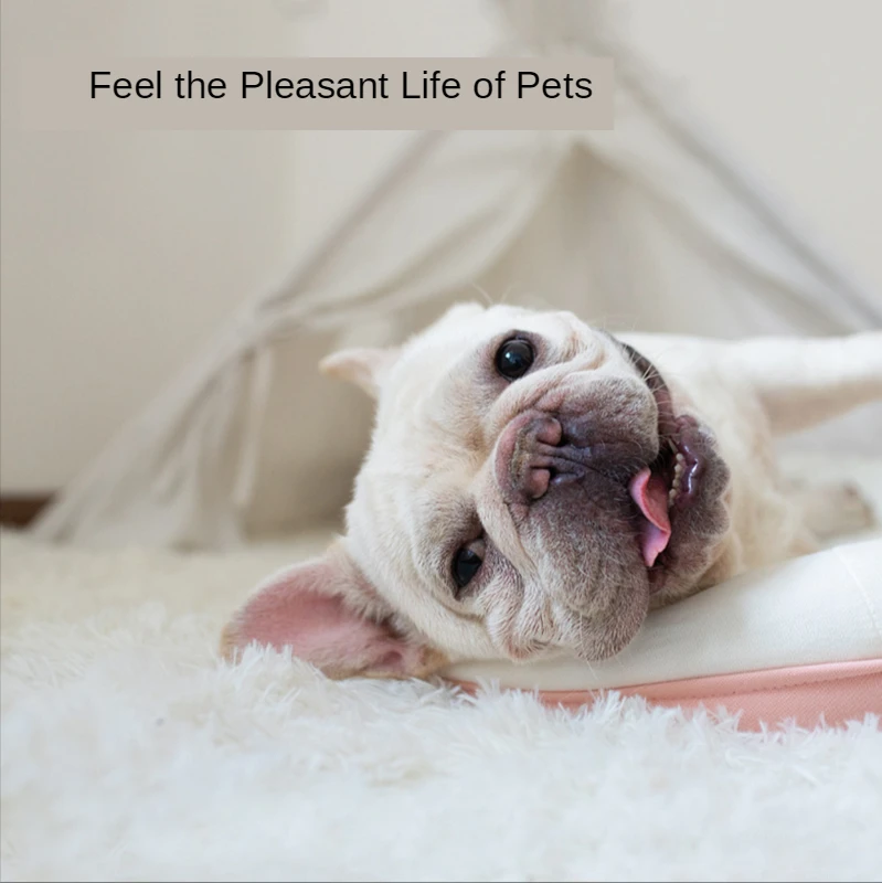 Одеяло для собак кошек домашних животных подушка зимний плотный дуплексный